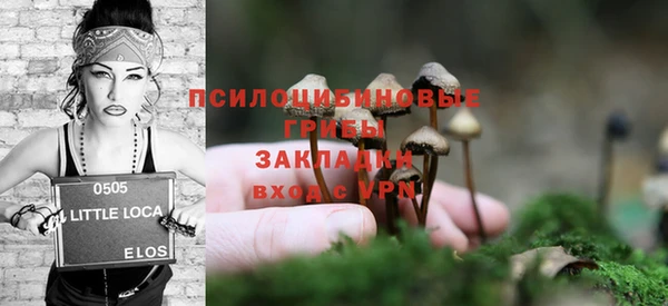 прущий лед Алексин