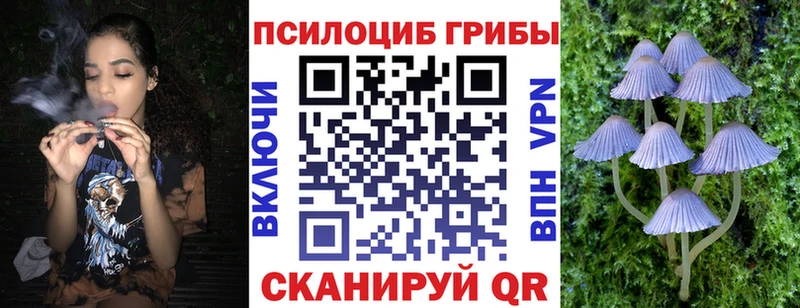 Псилоцибиновые грибы GOLDEN TEACHER  наркотики  Пугачёв 