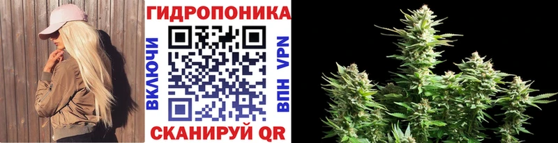 Каннабис MAZAR Пугачёв
